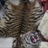 Tiger Skin for sale